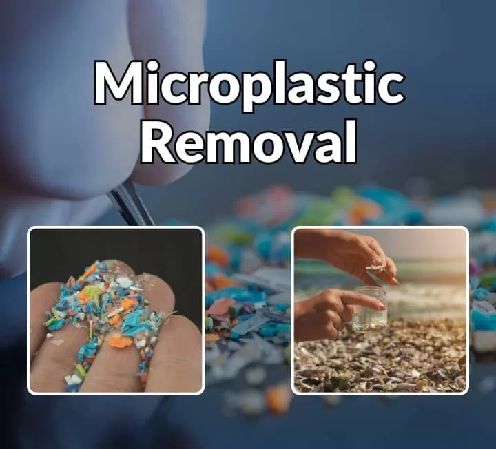 Detox microplastics