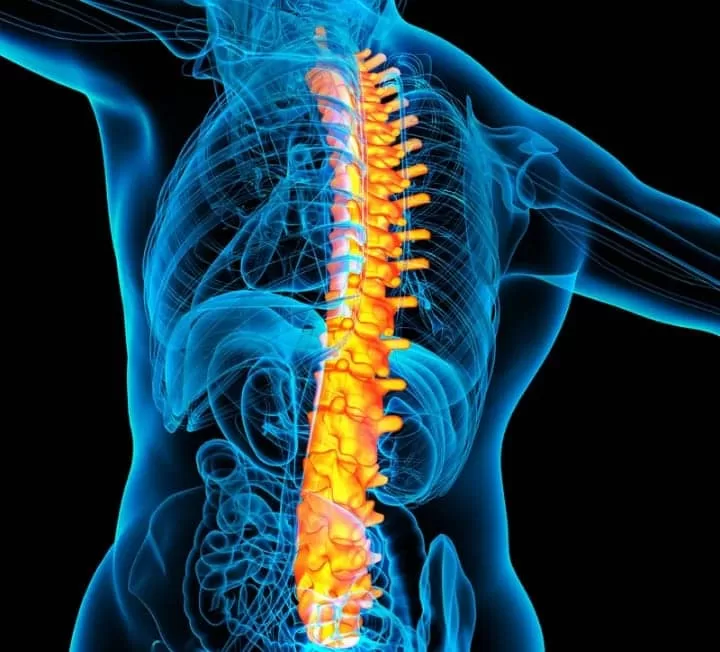 Back and Spine Surgery