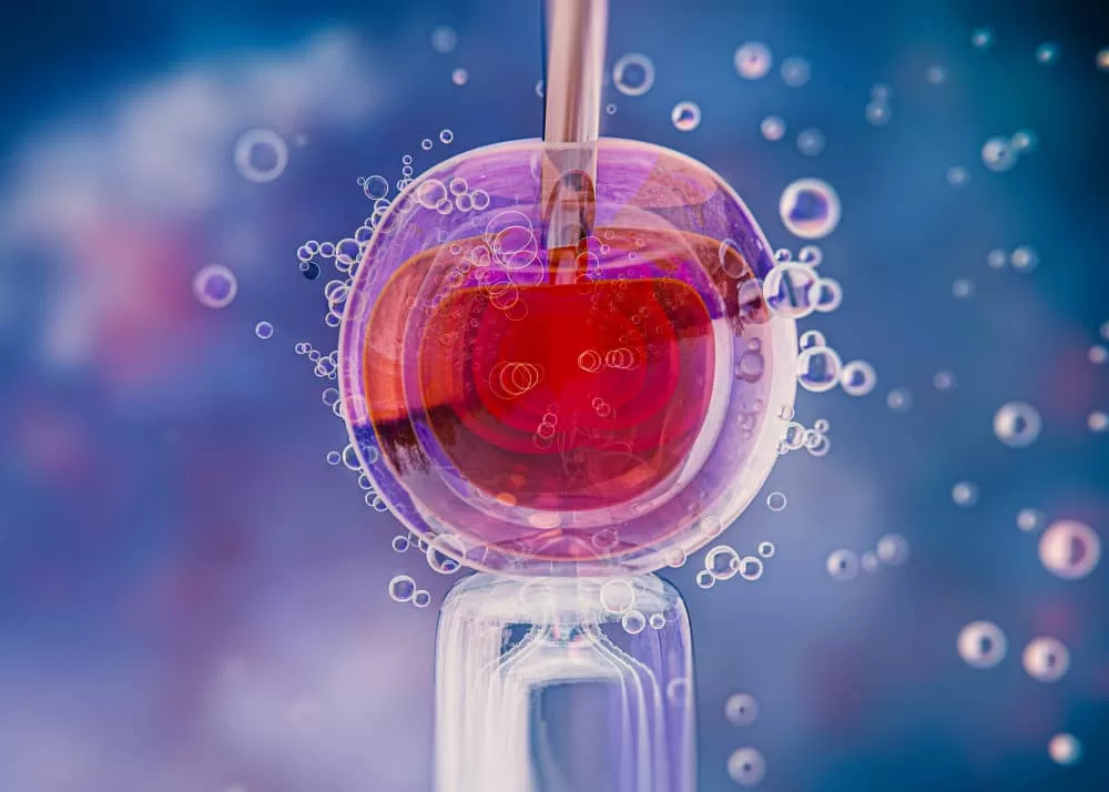 Epithalon Peptide