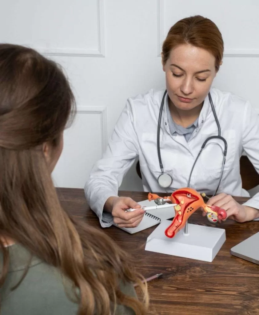 Aesthetic Gynecology