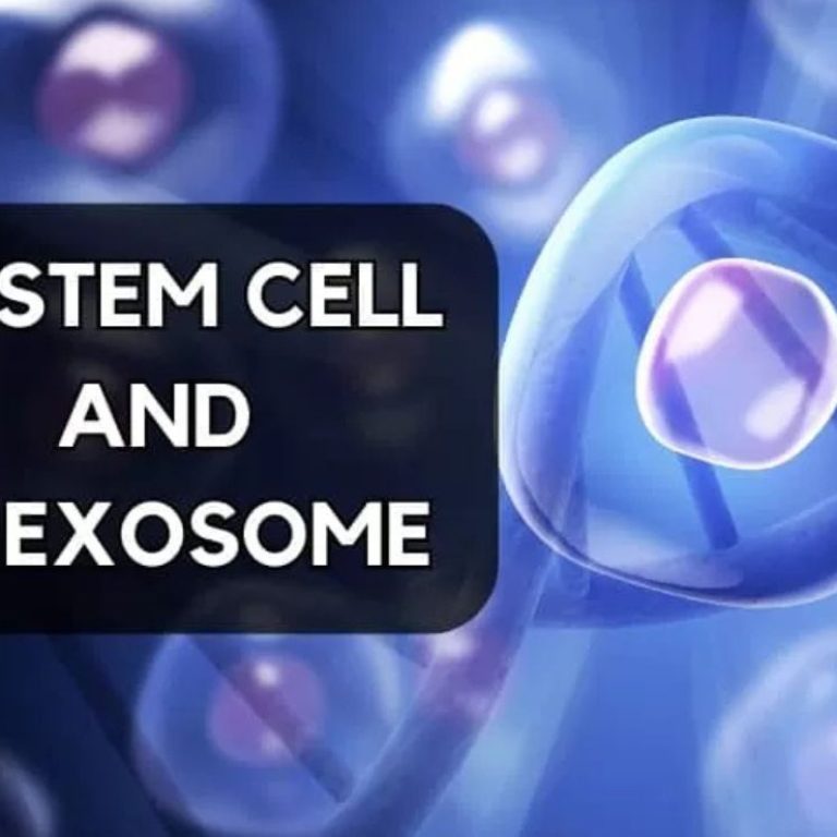IV Stem Cell and IV Exosome