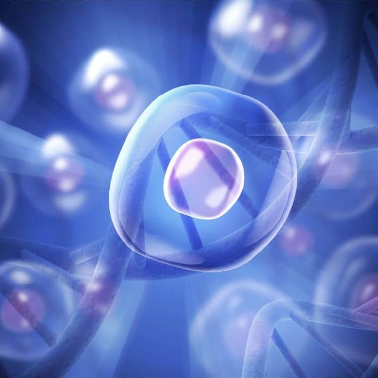 Stem Cell Therapy