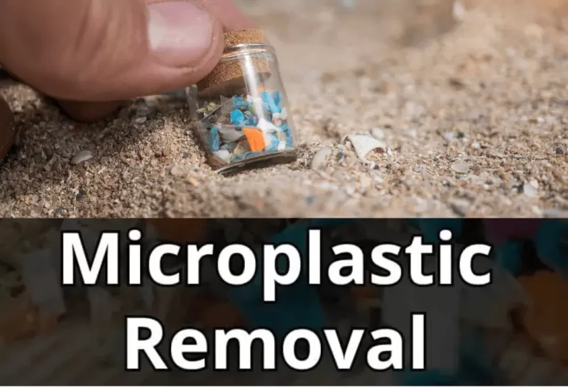 Microplastic Removal